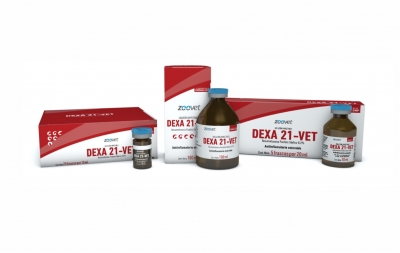 DEXA 21-VET